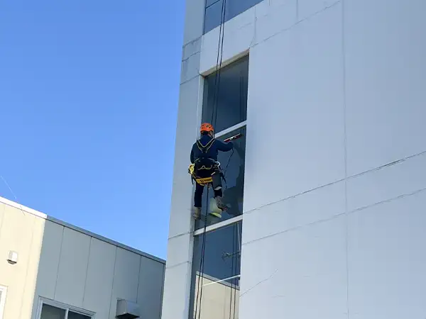 外壁、外回り清掃